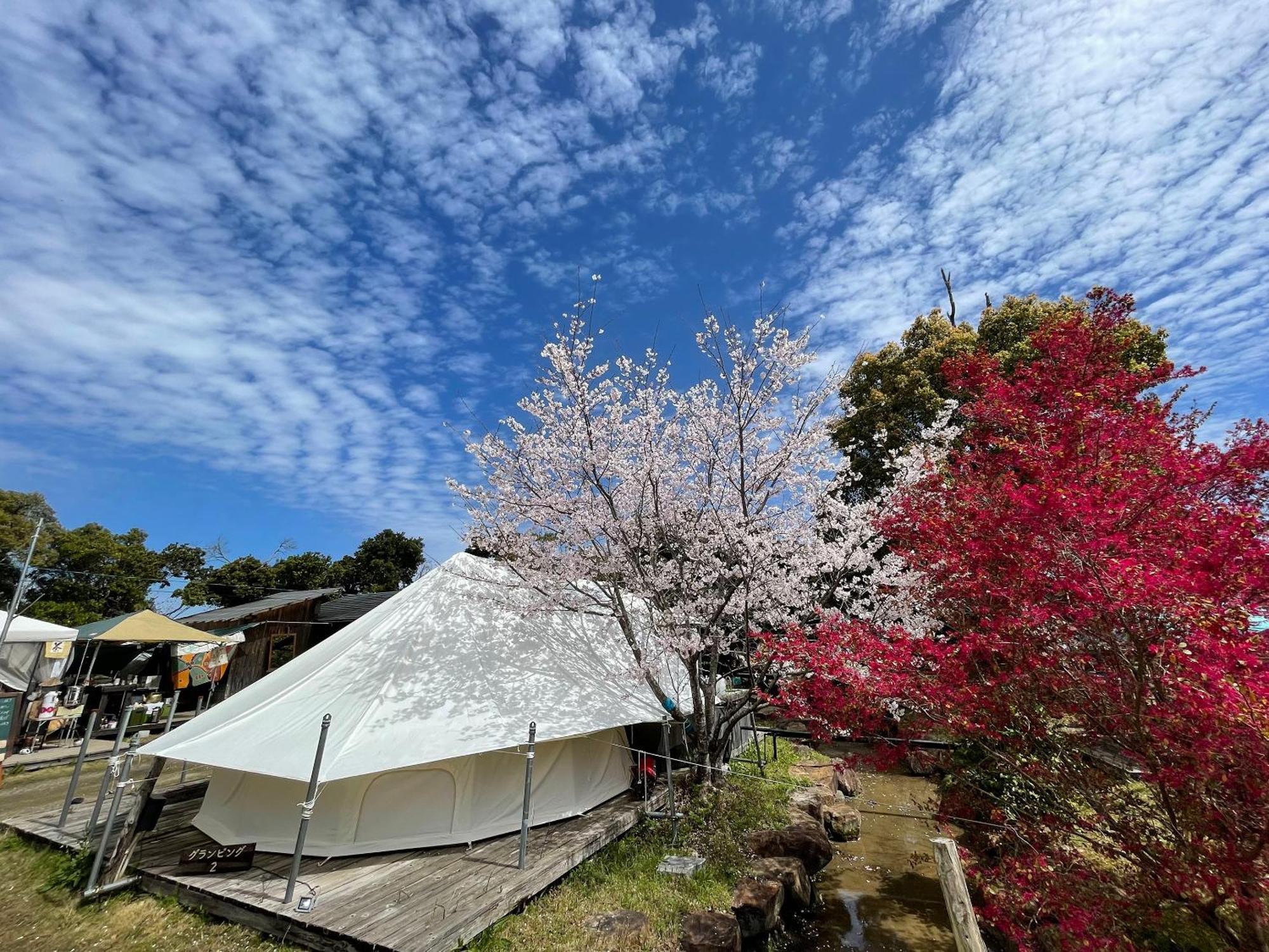 Yamamizuki Villa Shimanto  Dış mekan fotoğraf