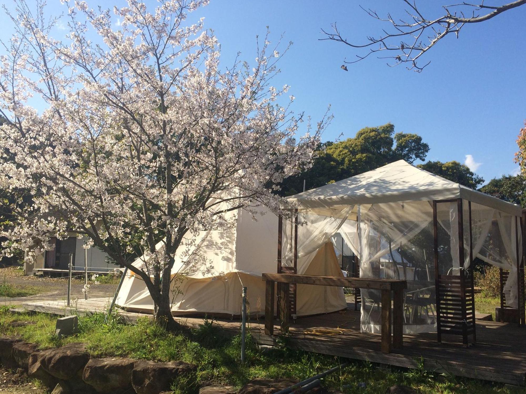 Yamamizuki Villa Shimanto  Dış mekan fotoğraf